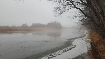 Frozen Venta river in the morning mist